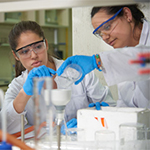 Área de Ciencias Experimentales