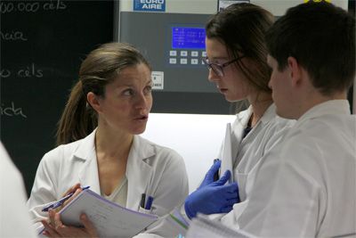 farmacia farmacia